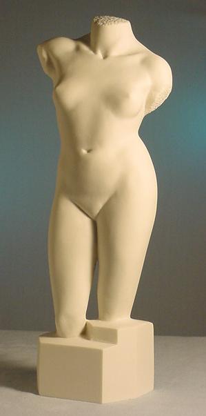 Female Torso